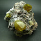 Museum Golden Apatite Cluster From Mexico - 4.8"