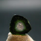 Rare Watermelon Tourmaline Crystal Slice From Brazil - 2.75 Carats