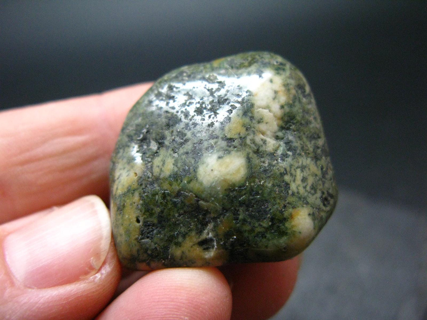 Rare Stonehenge Preseli Bluestone Tumbled Crystal From Wales UK - 1.1" - 18.32 Grams
