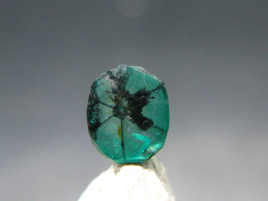 Beautiful Rare Gem Trapiche Emerald From Colombia - 0.59 Carats - 6x5mm