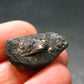 Columbite Crystal From Brazil - 0.9" - 6.81 Grams