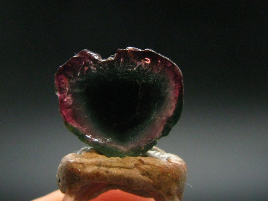 Rare Watermelon Tourmaline Crystal Slice From Brazil - 7.30 Carats