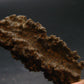 Large Fulgurite Lightning Rock From Sahara Desert - 2.2"