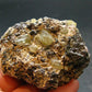 Golden Apatite Cluster From Mexico - 2.5" - 129.61 Grams