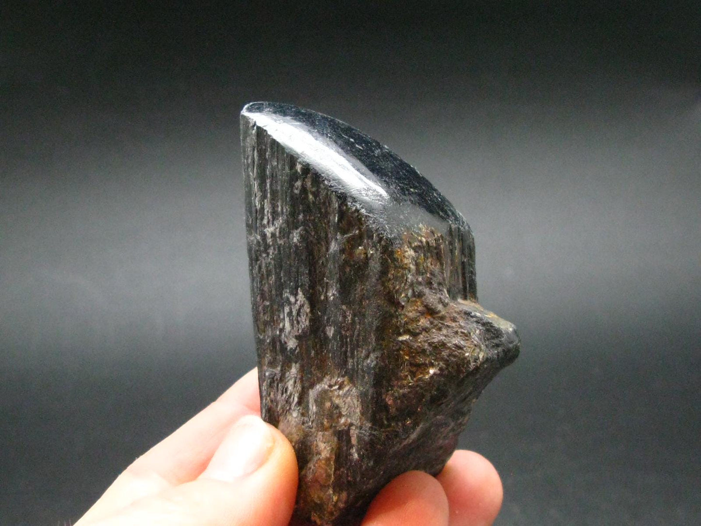 Fine Black Tourmaline Schorl Crystal From Brazil - 2.5"