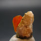 Wulfenite Cluster From Arizona - 0.7"