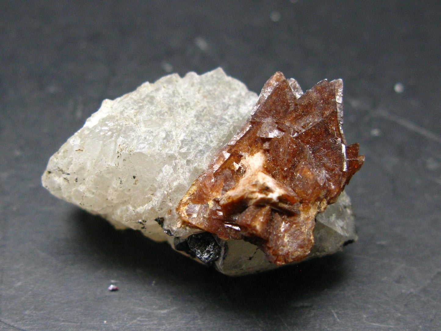 Rare Helvite on Quartz Cluster from China - 1.6" - 27.91 Grams