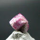 Nice Rare Gem Bixbite Red Emerald Beryl Crystal From Utah USA - 0.66 Carats