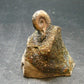Pyritized Ammonite Fossil On Pyrite Matrix From Russia 150 MYO - 1.8" - 73.72 Grams