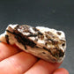 Astrophylite Astrophyllite Cluster From Russia - 2.0" - 31.55 Grams