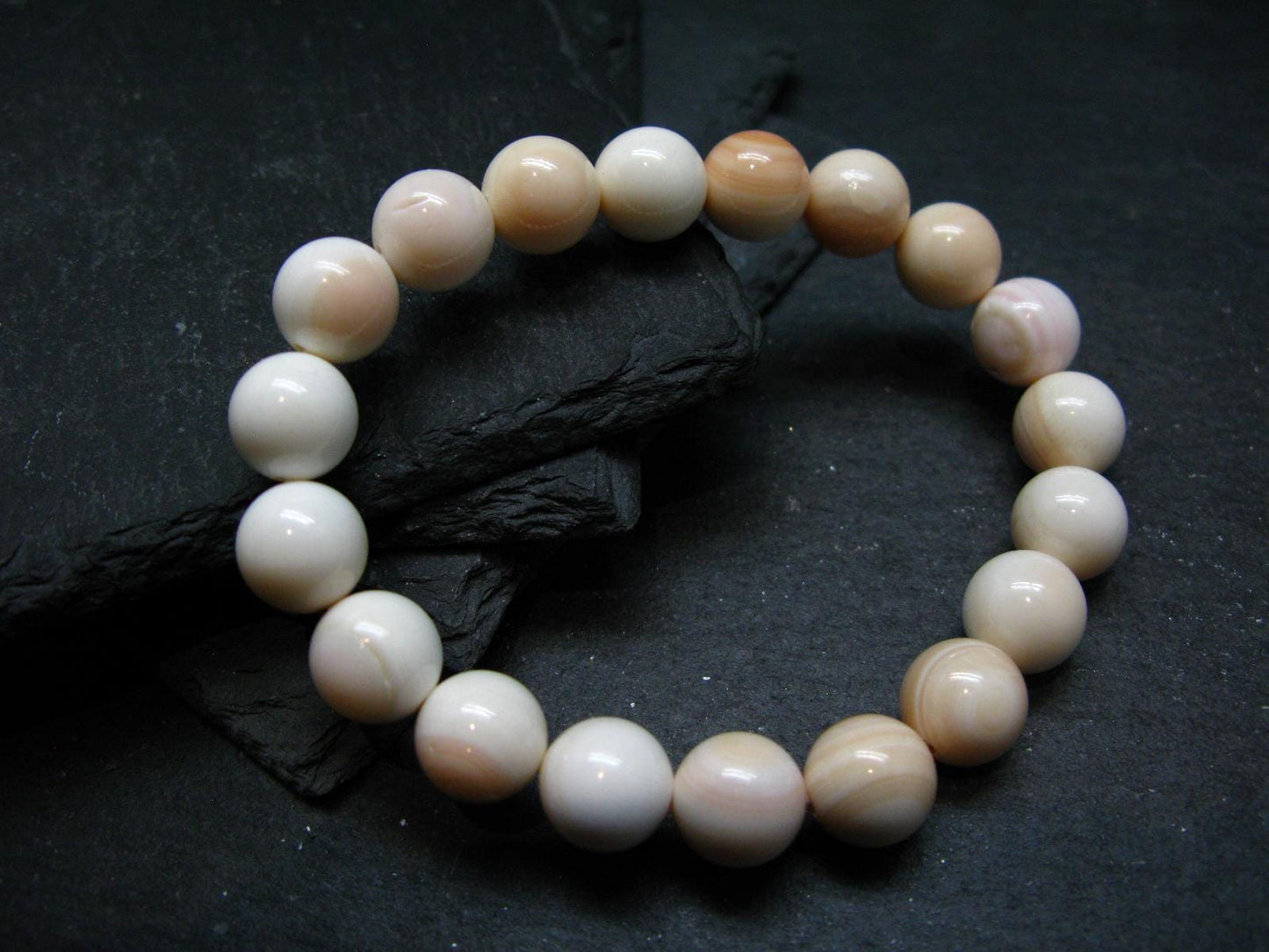Conch Shell Genuine Bracelet ~ 7 Inches ~ 10mm Round Beads