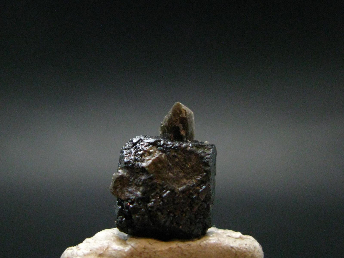 Large Brookite Crystal From Arkansas - 1.55 Grams - 14 mm