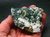 Nice Atacamite Cluster from Chile - 2.8" - 87 Grams