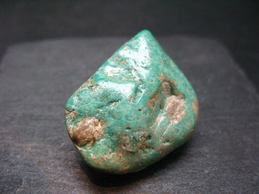 Genuine Tumbled Turquoise from Arizona, USA - 1.3" - 15.44 Grams