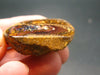 Rare Boulder Opal Piece from Australia - 1.3"