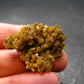 Nice Large Yellow Mimetite Cluster from Mexico - 1.2"