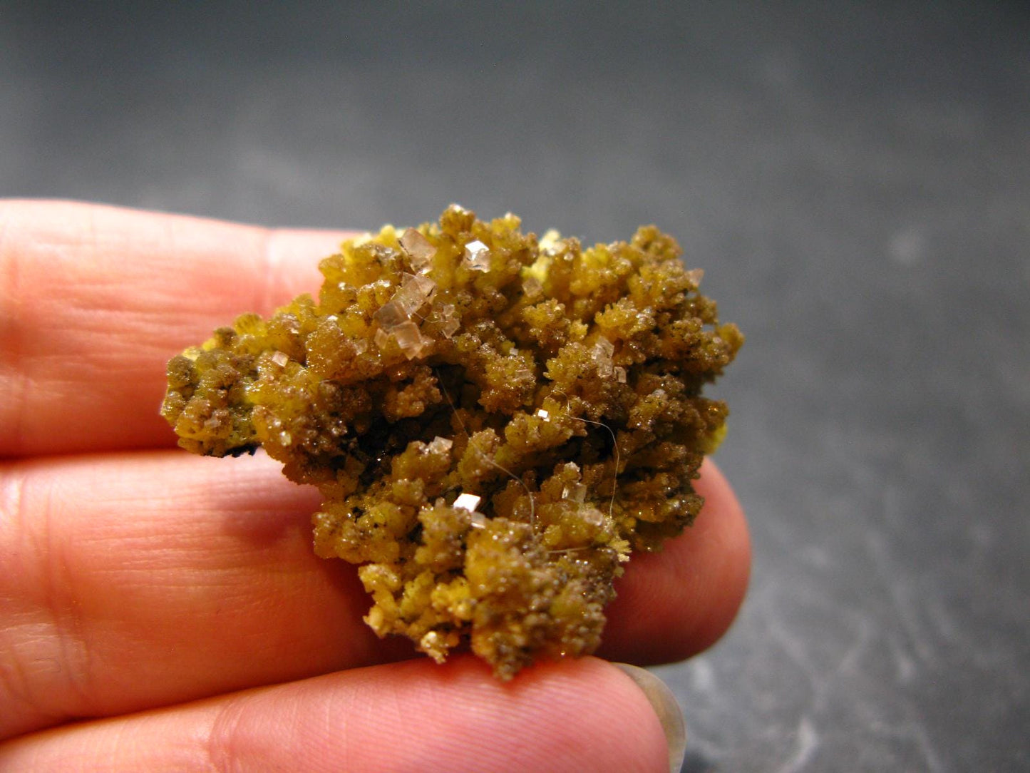 Nice Large Yellow Mimetite Cluster from Mexico - 1.2"