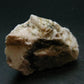 Phenakite Phenacite Crystal From Brazil - 2.3" - 74.16 Grams