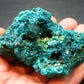 Very Nice Dioptase Cluster from Congo - 3.2" - 190 Grams