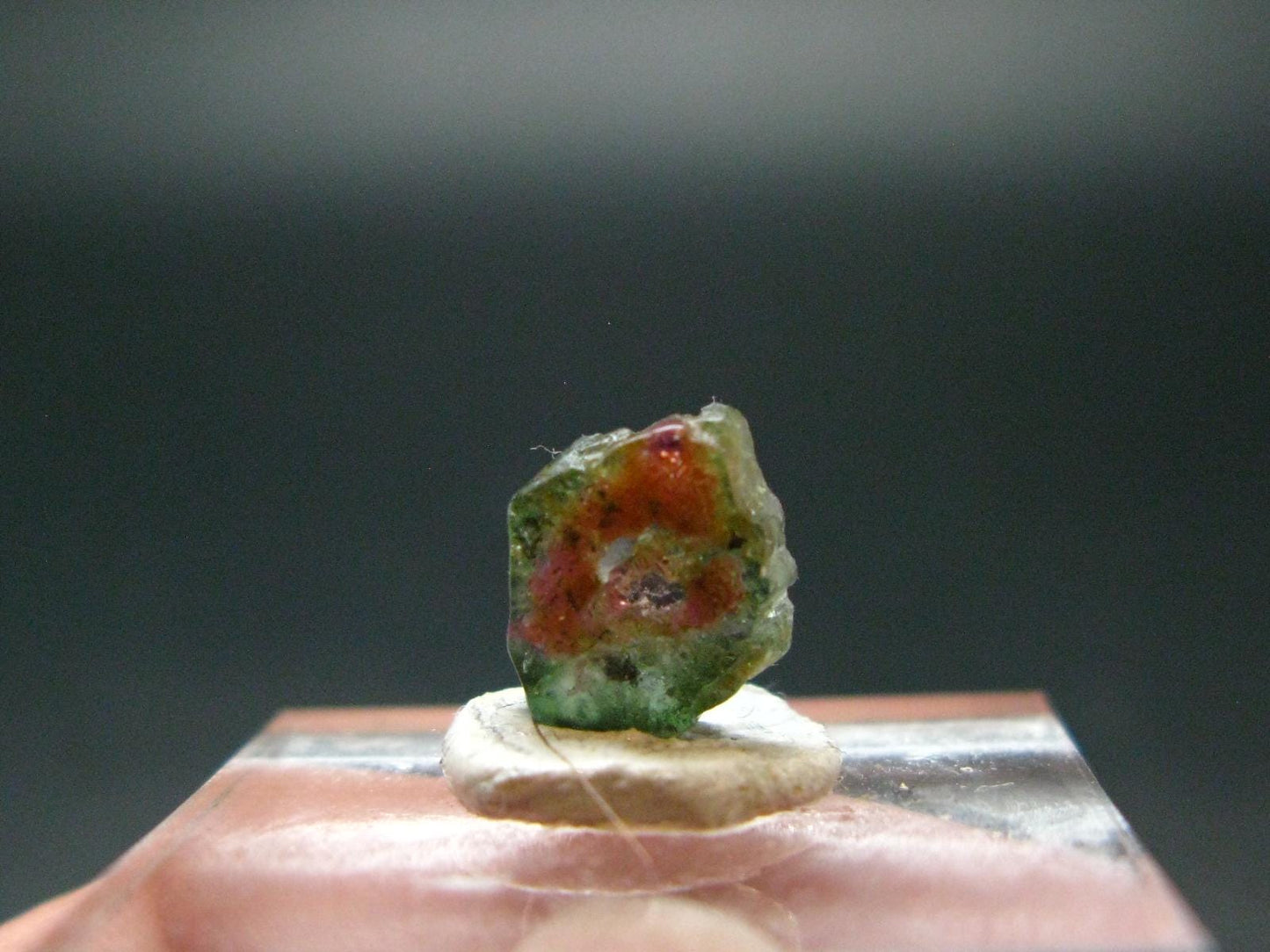 Rare Watermelon Tourmaline Crystal Slice From Brazil - 1.35 Carats