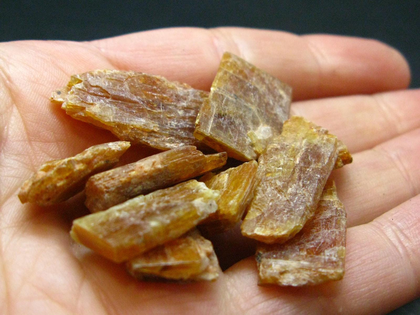 Lot of 10 Rare Orange Kyanite Crystals From Tanzania