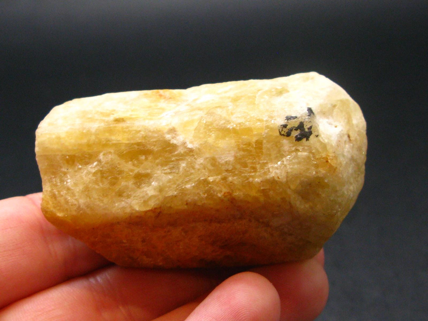 Gem Heliodor Golden Beryl Crystal from Madagascar - 81.54 Grams - 2.1"