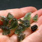 Lot of 10 Rare Moldavite Tektite From Czech Republic - 25 Carats