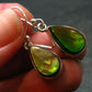 Ammolite Amolite Sterling Silver Earrings From Canada - 1.2"