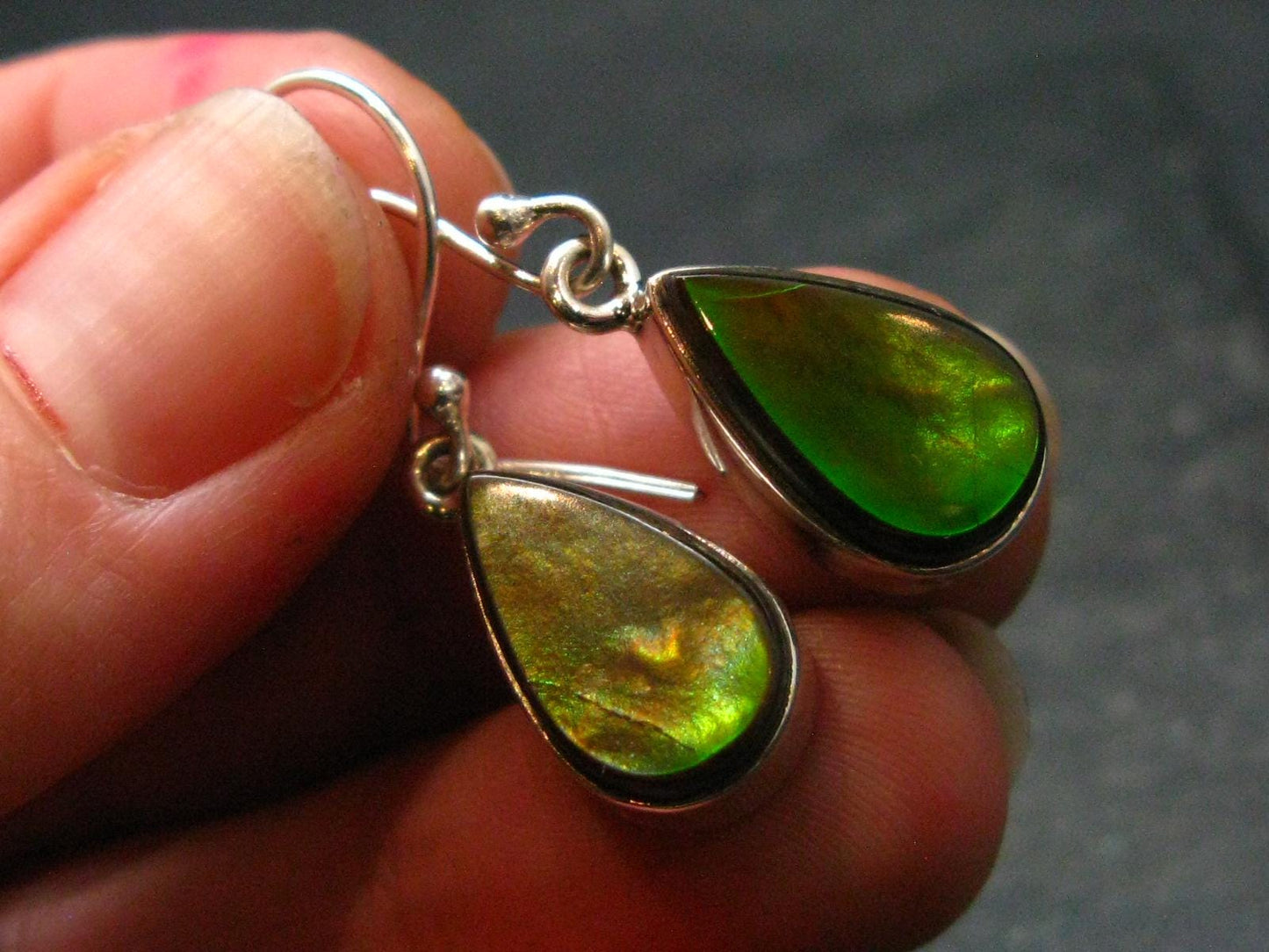 Ammolite Amolite Sterling Silver Earrings From Canada - 1.2"
