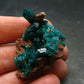 Very Nice Dioptase Cluster from Congo - 1.5" - 18.38 Grams