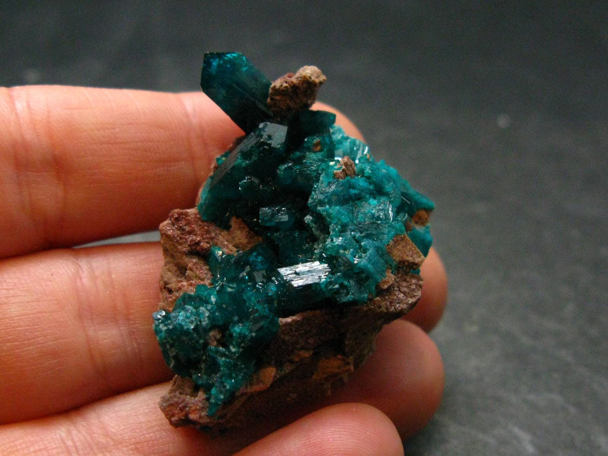 Very Nice Dioptase Cluster from Congo - 1.5" - 18.38 Grams