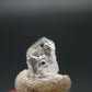 Phenakite Phenacite Crystal Bead from Brazil - 1.52 Carats