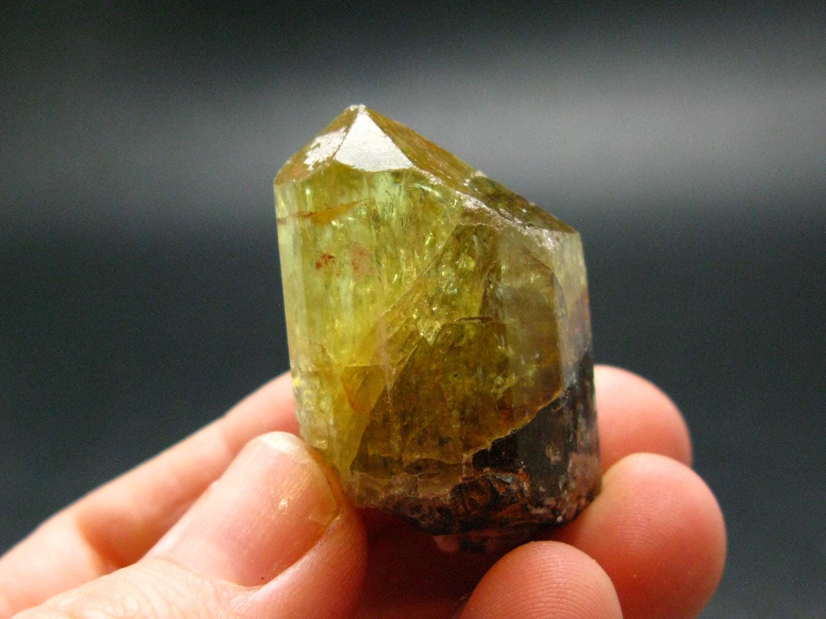 Large Gold Apatite Crysatl from Mexico - 28.04 Grams - 1.4"