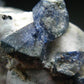 Benitoite and Neptunite on Natrolite Cluster From California - 1.5" - 10.35 Grams