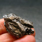 Campo Del Cielo Meteorite from Argentina - 17.85 Grams - 1.2"