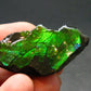 Ammolite Ammollite Fossil From Alberta Canada - 1.5" - 11.57 Grams