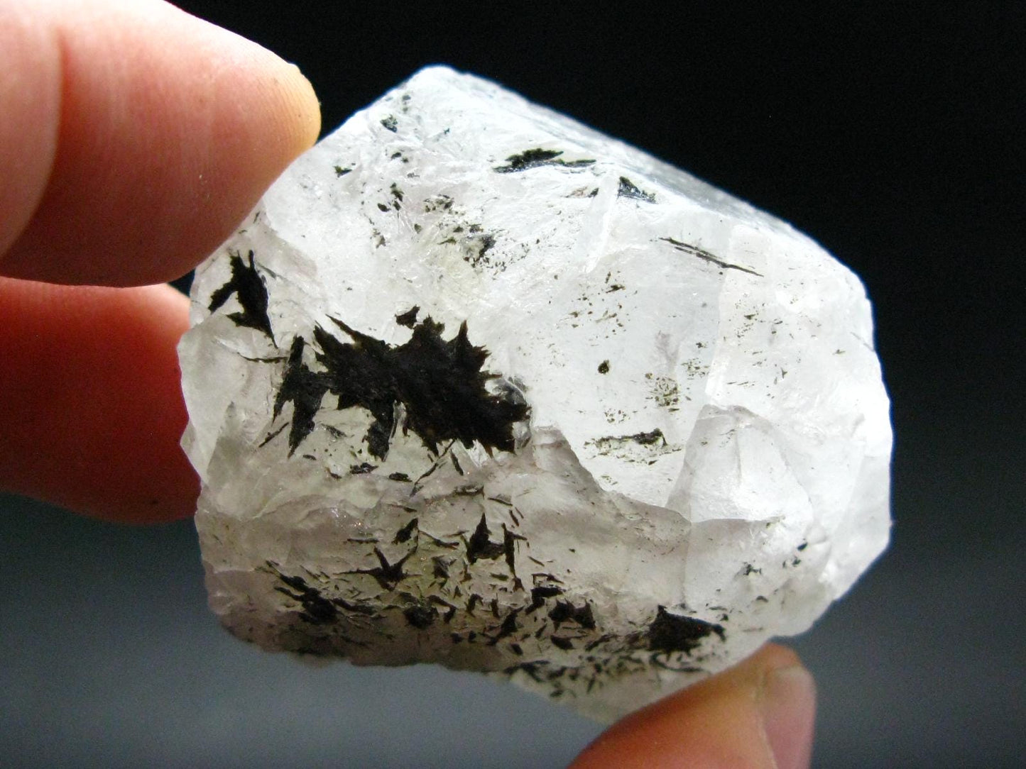 Gem Phenakite Phenacite Crystal From Russia - 81.1 Grams - 1.9"