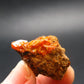 Wulfenite Cluster From Arizona - 1.2"
