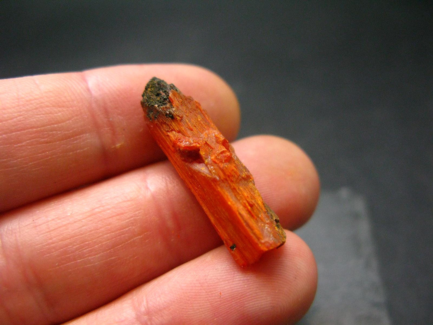 Large Orange Crocoite Crystal From Australia - 1.0" - 20.35 Carats
