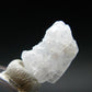Phenakite Phenacite Crystal from Nigeria - 5.67 Carats