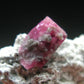 Rare Gem Bixbite Red Emerald Beryl Cluster From Utah USA - 1.1" - 4.77 Grams