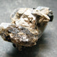 Brookite On Quartz Cluster From Arkansas - 48.86 Grams - 2.2"
