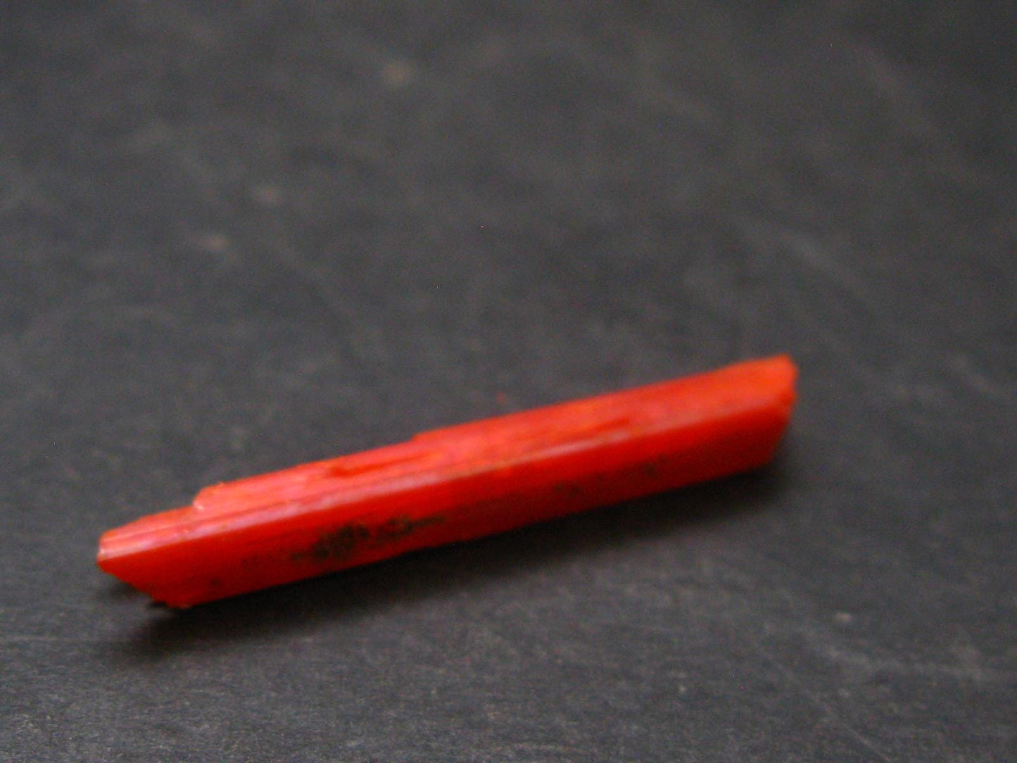 Large Orange Crocoite Crystal From Australia - 3.3" - 9.50 Carats