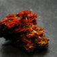 Rare Orange Crocoite Cluster From Australia - 1.4"- 11.0 Grams