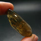 Nice Untreated Rich Yellow Citrine Tumbled Crystal from Zambia - 56.65 Carats - 1.6"
