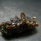 Stunning Fire Red Zincite Zinkite Cluster From Poland - 1.3" - 12.54 Grams