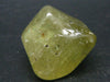Gem Golden Apatite Tumbled Stone From Mexico - 11.1 Grams