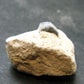 Large Blue Sapphire Corundum Cluster From Madagascar - 1.3"