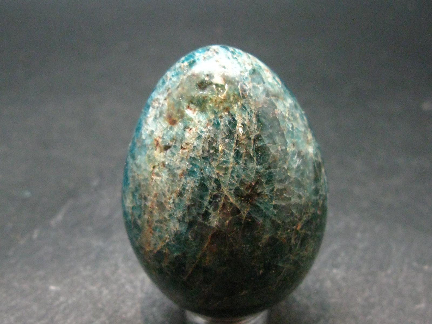 Large Neon Blue Apatite Egg from Madagascar - 107.68 Grams - 1.9"