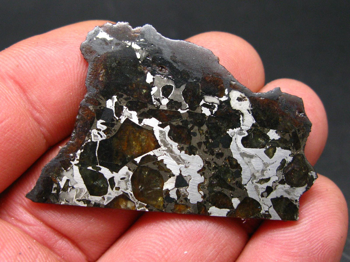 Large Brahin Meteorite Pallasite Olivine Slice From Belarus - 2.4" - 8.82 Grams